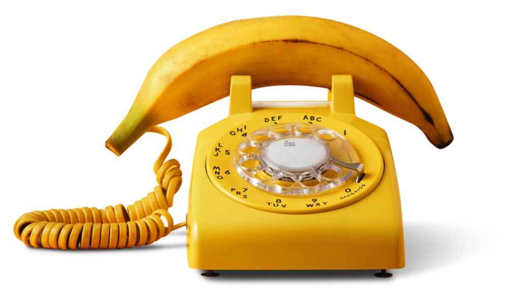 Contact Banana Surf Camp